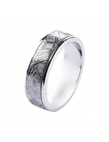 Vestuvinis žiedas „Meteoritas su sidabru"